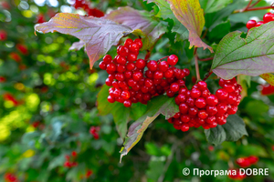 Thumb %d0%9f%d0%be%d0%b4%d0%b2%d1%96%d1%80 %d1%8f %d0%9c%d1%83%d0%b7%d0%b5%d1%8e %d0%97%d0%b1%d0%be%d1%80%d1%96%d0%b2%d1%81%d1%8c%d0%ba%d0%be%d1%97 %d0%b1%d0%b8%d1%82%d0%b2%d0%b8  %d0%bc%d1%96%d1%81%d1%82%d0%be %d0%97%d0%b1%d0%be%d1%80%d1%96%d0%b2  %d0%97%d0%b1%d0%be%d1%80%d1%96%d0%b2%d1%81%d1%8c%d0%ba%d0%b0 %d0%b3%d1%80%d0%be%d0%bc%d0%b0%d0%b4%d0%b0  14 