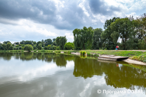 Ставок на річці Стрипа, місто Зборів, Зборівська громада