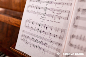 Ансамбль народних інструментів, Нижньовербізька громада