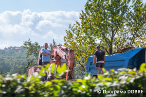 Thumb %d0%a1%d0%b5%d0%bb%d0%be %d0%92%d0%b5%d0%bb%d0%b8%d0%ba%d0%b8%d0%b9 %d0%9a%d0%bb%d1%8e%d1%87%d1%96%d0%b2  %d0%9d%d0%b8%d0%b6%d0%bd%d1%8c%d0%be%d0%b2%d0%b5%d1%80%d0%b1%d1%96%d0%b7%d1%8c%d0%ba%d0%b0 %d0%b3%d1%80%d0%be%d0%bc%d0%b0%d0%b4%d0%b0  99 