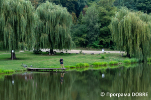 Thumb %d0%92%d1%96%d0%b4%d0%bf%d0%be%d1%87%d0%b8%d0%bd%d0%ba%d0%be%d0%b2%d0%b0 %d0%b7%d0%be%d0%bd%d0%b0 %d0%9a%d0%9f  %d0%9d%d0%b5%d0%bf%d1%82%d1%83%d0%bd   %d0%bc%d1%96%d1%81%d1%82%d0%be %d0%a2%d0%bb%d1%83%d0%bc%d0%b0%d1%87  %d0%a2%d0%bb%d1%83%d0%bc%d0%b0%d1%86%d1%8c%d0%ba%d0%b0 %d0%b3%d1%80%d0%be%d0%bc%d0%b0%d0%b4%d0%b0  7 