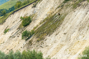 Краєвиди села Остриня, Тлумацька громада