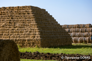 Гуляйпільска ТГ, ТОВ Сільськогосподарське підприємство «Діло СК-Агро», село Рівнопілля