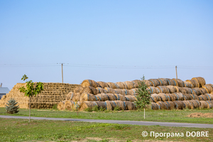 Гуляйпільска ТГ, ТОВ Сільськогосподарське підприємство «Діло СК-Агро», село Рівнопілля
