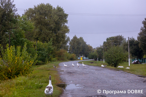 Thumb %d0%92%d1%83%d0%bb%d0%b8%d1%86%d1%96 %d0%9b%d0%be%d1%81%d0%b8%d0%bd%d1%96%d0%b2%d1%81%d1%8c%d0%ba%d0%be%d1%97 %d0%b3%d1%80%d0%be%d0%bc%d0%b0%d0%b4%d0%b8  24 