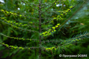 Thumb %d0%9d%d0%b0%d0%b2%d1%87%d0%b0%d0%bb%d1%8c%d0%bd%d0%be %d0%b4%d0%be%d1%81%d0%bb%d1%96%d0%b4%d0%bd%d0%b0 %d0%b4%d1%96%d0%bb%d1%8f%d0%bd%d0%ba%d0%b0 %d1%83%d1%87%d0%bd%d1%96%d0%b2%d1%81%d1%8c%d0%ba%d0%be%d0%b3%d0%be %d0%bb%d1%96%d1%81%d0%bd%d0%b8%d1%86%d1%82%d0%b2%d0%b0 %d0%a1%d0%b2%d1%96%d1%82%d0%b0%d0%bd%d0%ba%d1%96%d0%b2%d1%81%d1%8c%d0%ba%d0%be%d1%97 %d1%88%d0%ba%d0%be%d0%bb%d0%b8  %d0%9b%d0%be%d1%81%d0%b8%d0%bd%d1%96%d0%b2%d1%81%d1%8c%d0%ba%d0%b0 %d0%a2%d0%93  3 