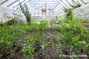 Thumb %d0%9d%d0%b0%d0%b2%d1%87%d0%b0%d0%bb%d1%8c%d0%bd%d0%be %d0%b4%d0%be%d1%81%d0%bb%d1%96%d0%b4%d0%bd%d0%b0 %d0%b4%d1%96%d0%bb%d1%8f%d0%bd%d0%ba%d0%b0 %d1%83%d1%87%d0%bd%d1%96%d0%b2%d1%81%d1%8c%d0%ba%d0%be%d0%b3%d0%be %d0%bb%d1%96%d1%81%d0%bd%d0%b8%d1%86%d1%82%d0%b2%d0%b0 %d0%a1%d0%b2%d1%96%d1%82%d0%b0%d0%bd%d0%ba%d1%96%d0%b2%d1%81%d1%8c%d0%ba%d0%be%d1%97 %d1%88%d0%ba%d0%be%d0%bb%d0%b8  %d0%9b%d0%be%d1%81%d0%b8%d0%bd%d1%96%d0%b2%d1%81%d1%8c%d0%ba%d0%b0 %d0%a2%d0%93  12 