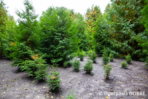 Thumb %d0%9d%d0%b0%d0%b2%d1%87%d0%b0%d0%bb%d1%8c%d0%bd%d0%be %d0%b4%d0%be%d1%81%d0%bb%d1%96%d0%b4%d0%bd%d0%b0 %d0%b4%d1%96%d0%bb%d1%8f%d0%bd%d0%ba%d0%b0 %d1%83%d1%87%d0%bd%d1%96%d0%b2%d1%81%d1%8c%d0%ba%d0%be%d0%b3%d0%be %d0%bb%d1%96%d1%81%d0%bd%d0%b8%d1%86%d1%82%d0%b2%d0%b0 %d0%a1%d0%b2%d1%96%d1%82%d0%b0%d0%bd%d0%ba%d1%96%d0%b2%d1%81%d1%8c%d0%ba%d0%be%d1%97 %d1%88%d0%ba%d0%be%d0%bb%d0%b8  %d0%9b%d0%be%d1%81%d0%b8%d0%bd%d1%96%d0%b2%d1%81%d1%8c%d0%ba%d0%b0 %d0%a2%d0%93  18 