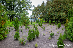 Thumb %d0%9d%d0%b0%d0%b2%d1%87%d0%b0%d0%bb%d1%8c%d0%bd%d0%be %d0%b4%d0%be%d1%81%d0%bb%d1%96%d0%b4%d0%bd%d0%b0 %d0%b4%d1%96%d0%bb%d1%8f%d0%bd%d0%ba%d0%b0 %d1%83%d1%87%d0%bd%d1%96%d0%b2%d1%81%d1%8c%d0%ba%d0%be%d0%b3%d0%be %d0%bb%d1%96%d1%81%d0%bd%d0%b8%d1%86%d1%82%d0%b2%d0%b0 %d0%a1%d0%b2%d1%96%d1%82%d0%b0%d0%bd%d0%ba%d1%96%d0%b2%d1%81%d1%8c%d0%ba%d0%be%d1%97 %d1%88%d0%ba%d0%be%d0%bb%d0%b8  %d0%9b%d0%be%d1%81%d0%b8%d0%bd%d1%96%d0%b2%d1%81%d1%8c%d0%ba%d0%b0 %d0%a2%d0%93  19 