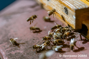 Thumb %d0%90%d0%bf%d1%96%d1%82%d0%b5%d1%80%d0%b0%d0%bf%d0%b5%d0%b2%d1%82%d0%b8%d1%87%d0%bd%d0%b8%d0%b9 %d0%be%d0%b7%d0%b4%d0%be%d1%80%d0%be%d0%b2%d1%87%d0%b8%d0%b9 %d0%ba%d0%be%d0%bc%d0%bf%d0%bb%d0%b5%d0%ba%d1%81  %d0%9c%d0%b8%d0%b2%d1%96%d1%80%d0%b0   %d1%81%d0%b5%d0%bb%d0%be %d0%9c%d0%b8%d1%85%d0%b0%d0%b9%d0%bb%d1%96%d0%b2%d0%ba%d0%b0  %d0%93%d0%bb%d0%b8%d0%b1%d0%be%d1%86%d1%8c%d0%ba%d0%b0 %d0%b3%d1%80%d0%be%d0%bc%d0%b0%d0%b4%d0%b0  12 