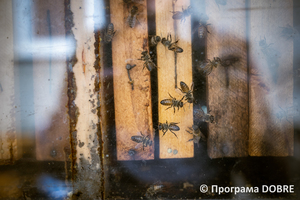 Апітерапевтичний оздоровчий комплекс «Мивіра», село Михайлівка, Глибоцька громада