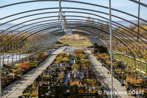 Thumb %d0%9f%d1%96%d0%b4%d0%bf%d1%80%d0%b8%d1%94%d0%bc%d1%81%d1%82%d0%b2%d0%be %d0%b7 %d0%bf%d1%80%d0%be%d1%80%d0%be%d1%89%d1%83%d0%b2%d0%b0%d0%bd%d0%bd%d1%8f %d1%82%d0%b0 %d0%bf%d1%80%d0%be%d0%b4%d0%b0%d0%b6%d1%83 %d1%80%d0%be%d1%81%d0%bb%d0%b8%d0%bd  florium   1 