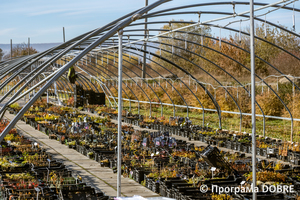 Thumb %d0%9f%d1%96%d0%b4%d0%bf%d1%80%d0%b8%d1%94%d0%bc%d1%81%d1%82%d0%b2%d0%be %d0%b7 %d0%bf%d1%80%d0%be%d1%80%d0%be%d1%89%d1%83%d0%b2%d0%b0%d0%bd%d0%bd%d1%8f %d1%82%d0%b0 %d0%bf%d1%80%d0%be%d0%b4%d0%b0%d0%b6%d1%83 %d1%80%d0%be%d1%81%d0%bb%d0%b8%d0%bd  florium   4 