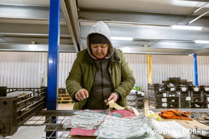 Thumb %d0%9f%d1%96%d0%b4%d0%bf%d1%80%d0%b8%d1%94%d0%bc%d1%81%d1%82%d0%b2%d0%be %d0%b7 %d0%bf%d1%80%d0%be%d1%80%d0%be%d1%89%d1%83%d0%b2%d0%b0%d0%bd%d0%bd%d1%8f %d1%82%d0%b0 %d0%bf%d1%80%d0%be%d0%b4%d0%b0%d0%b6%d1%83 %d1%80%d0%be%d1%81%d0%bb%d0%b8%d0%bd  florium   38 