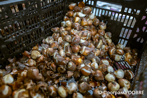 Thumb %d0%9f%d1%96%d0%b4%d0%bf%d1%80%d0%b8%d1%94%d0%bc%d1%81%d1%82%d0%b2%d0%be %d0%b7 %d0%bf%d1%80%d0%be%d1%80%d0%be%d1%89%d1%83%d0%b2%d0%b0%d0%bd%d0%bd%d1%8f %d1%82%d0%b0 %d0%bf%d1%80%d0%be%d0%b4%d0%b0%d0%b6%d1%83 %d1%80%d0%be%d1%81%d0%bb%d0%b8%d0%bd  florium   42 