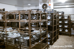 Підприємство з пророщування та продажу рослин «Florium», Глибоцька громада