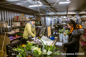 Підприємство з пророщування та продажу рослин «Florium», Глибоцька громада
