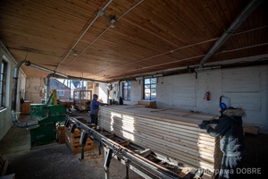 КП «Корюківкаліс», Корюківська громада 