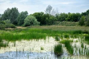 Балаклійська центральна каналізаційно-насосна станція, зруйнована РФ