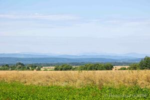 Село Мала Кам’янка, П’ядицька громада