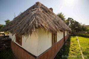 Літературний музей ім. Мирослава Ірчана,  П’ядицька громада