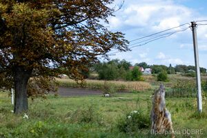 Вулицями Софіївської громади