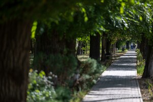 Пішохідні зони Софіївської громади, облаштовані за підтримки Програми USAID DOBRE