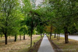 Пішохідні зони Софіївської громади, облаштовані за підтримки Програми USAID DOBRE