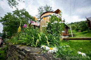 Thumb %d0%9c%d1%96%d1%81%d1%86%d0%b5%d0%b2%d0%b8%d0%b9 %d0%bc%d1%83%d0%b7%d0%b5%d0%b9 %d0%b5%d1%82%d0%bd%d0%be%d0%b3%d1%80%d0%b0%d1%84%d1%96%d1%97 %d1%82%d0%b0 %d0%ba%d1%80%d0%b0%d1%94%d0%b7%d0%bd%d0%b0%d0%b2%d1%81%d1%82%d0%b2%d0%b0 %d0%93%d1%83%d1%86%d1%83%d0%bb%d1%8c%d1%89%d0%b8%d0%bd%d0%b8  %d0%a3%d1%81%d1%82%d1%8c %d0%9f%d1%83%d1%82%d0%b8%d0%bb%d1%8c%d1%81%d1%8c%d0%ba%d0%b0 %d0%b3%d1%80%d0%be%d0%bc%d0%b0%d0%b4%d0%b0  4 