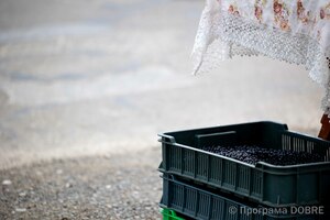 Село Розтоки, Усть-Путильська громада