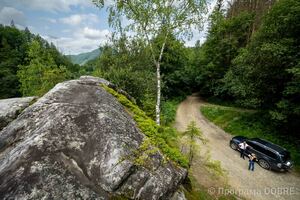 Скеля Камінь Довбуша, село Розтоки, Усть-Путильська громада