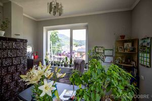 Усть-Путильська сільська рада, Усть-Путильська громада