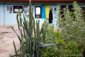 Thumb %d0%9f%d1%80%d0%b8%d0%b2%d0%b0%d1%82%d0%bd%d0%b8%d0%b9 %d0%ba%d1%80%d0%b0%d1%94%d0%b7%d0%bd%d0%b0%d0%b2%d1%87%d0%b8%d0%b9 %d0%bc%d1%83%d0%b7%d0%b5%d0%b9 %d0%b7 %d0%be%d0%b7%d0%b4%d0%be%d1%80%d0%be%d0%b2%d1%87%d0%b8%d0%bc %d1%86%d0%b5%d0%bd%d1%82%d1%80%d0%be%d0%bc %d0%b2 %d1%81%d0%b5%d0%bb%d1%96 %d0%9c%d0%be%d0%b2%d1%87%d0%b0%d0%bd%d1%96%d0%b2%d0%ba%d0%b0  25 