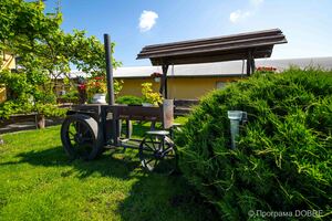 Thumb %d0%a1%d0%b5%d0%bb%d1%8f%d0%bd%d1%81%d1%8c%d0%ba%d0%b5 %d1%84%d0%b5%d1%80%d0%bc%d0%b5%d1%80%d1%81%d1%8c%d0%ba%d0%b5 %d0%b3%d0%be%d1%81%d0%bf%d0%be%d0%b4%d0%b0%d1%80%d1%81%d1%82%d0%b2%d0%be  %d0%a2%d1%8e%d0%bb%d1%8c%d0%bf%d0%b0%d0%bd  %d0%b2 %d1%81%d0%b5%d0%bb%d1%96 %d0%91%d1%83%d1%80%d0%ba%d0%b0%d0%bd%d1%96%d0%b2  %d0%97%d0%be%d0%bb%d0%be%d1%82%d0%bd%d0%b8%d0%ba%d1%96%d0%b2%d1%81%d1%8c%d0%ba%d0%b0 %d0%b3%d1%80%d0%be%d0%bc%d0%b0%d0%b4%d0%b0  9 