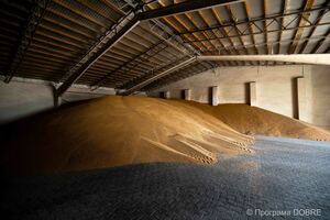 Thumb %d0%a1%d0%b5%d0%bb%d1%8f%d0%bd%d1%81%d1%8c%d0%ba%d0%b5 %d1%84%d0%b5%d1%80%d0%bc%d0%b5%d1%80%d1%81%d1%8c%d0%ba%d0%b5 %d0%b3%d0%be%d1%81%d0%bf%d0%be%d0%b4%d0%b0%d1%80%d1%81%d1%82%d0%b2%d0%be  %d0%a2%d1%8e%d0%bb%d1%8c%d0%bf%d0%b0%d0%bd  %d0%b2 %d1%81%d0%b5%d0%bb%d1%96 %d0%91%d1%83%d1%80%d0%ba%d0%b0%d0%bd%d1%96%d0%b2  %d0%97%d0%be%d0%bb%d0%be%d1%82%d0%bd%d0%b8%d0%ba%d1%96%d0%b2%d1%81%d1%8c%d0%ba%d0%b0 %d0%b3%d1%80%d0%be%d0%bc%d0%b0%d0%b4%d0%b0  13 