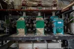 Thumb %d0%a1%d0%b5%d0%bb%d1%8f%d0%bd%d1%81%d1%8c%d0%ba%d0%b5 %d1%84%d0%b5%d1%80%d0%bc%d0%b5%d1%80%d1%81%d1%8c%d0%ba%d0%b5 %d0%b3%d0%be%d1%81%d0%bf%d0%be%d0%b4%d0%b0%d1%80%d1%81%d1%82%d0%b2%d0%be  %d0%a2%d1%8e%d0%bb%d1%8c%d0%bf%d0%b0%d0%bd  %d0%b2 %d1%81%d0%b5%d0%bb%d1%96 %d0%91%d1%83%d1%80%d0%ba%d0%b0%d0%bd%d1%96%d0%b2  %d0%97%d0%be%d0%bb%d0%be%d1%82%d0%bd%d0%b8%d0%ba%d1%96%d0%b2%d1%81%d1%8c%d0%ba%d0%b0 %d0%b3%d1%80%d0%be%d0%bc%d0%b0%d0%b4%d0%b0  25 