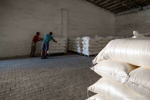 Селянське фермерське господарство «Тюльпан» в селі Бурканів, Золотниківська громада