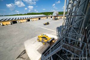 Селянське фермерське господарство «Тюльпан» в селі Бурканів, Золотниківська громада