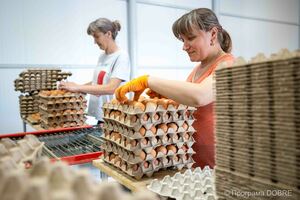 Thumb %d0%9e%d0%bb%d1%8c%d0%b3%d0%b0 %d0%9a%d1%83%d1%89%d0%b0%d0%ba  %d0%9e%d0%bb%d0%b5%d1%81%d1%8f %d0%9c%d0%b8%d1%85%d0%b0%d0%bb%d1%8c%d1%81%d1%8c%d0%ba%d0%b0  %d0%bf%d1%80%d0%b0%d1%86%d1%96%d0%b2%d0%bd%d0%b8%d1%86%d1%96 %d1%8f%d0%b9%d1%86%d0%b5%d1%81%d0%ba%d0%bb%d0%b0%d0%b4%d1%83 %d0%a1%d0%be%d0%ba%d0%be%d0%bb%d1%96%d0%b2%d1%81%d1%8c%d0%ba%d0%be%d0%b3%d0%be %d0%b2%d1%96%d0%b4%d0%b4%d1%96%d0%bb%d0%b5%d0%bd%d0%bd%d1%8f %d0%a2%d0%b7%d0%9e%d0%92  %d0%97%d0%b0%d1%85%d1%96%d0%b4%d0%b0%d0%b3%d1%80%d0%be%d0%b5%d0%bd%d0%b5%d1%80%d0%b3%d0%be%d1%96%d0%bd%d0%b2%d0%b5%d1%81%d1%82  14 