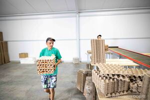 Thumb %d0%9f%d0%b5%d1%82%d1%80%d0%be %d0%a6%d1%8e%d0%bf%d1%80%d0%b8%d0%ba  %d0%bf%d1%80%d0%b0%d1%86%d1%96%d0%b2%d0%bd%d0%b8%d0%ba %d1%8f%d0%b9%d1%86%d0%b5%d1%81%d0%ba%d0%bb%d0%b0%d0%b4%d1%83 %d0%a1%d0%be%d0%ba%d0%be%d0%bb%d1%96%d0%b2%d1%81%d1%8c%d0%ba%d0%be%d0%b3%d0%be %d0%b2%d1%96%d0%b4%d0%b4%d1%96%d0%bb%d0%b5%d0%bd%d0%bd%d1%8f %d0%a2%d0%b7%d0%9e%d0%92  %d0%97%d0%b0%d1%85%d1%96%d0%b4%d0%b0%d0%b3%d1%80%d0%be%d0%b5%d0%bd%d0%b5%d1%80%d0%b3%d0%be%d1%96%d0%bd%d0%b2%d0%b5%d1%81%d1%82   10 