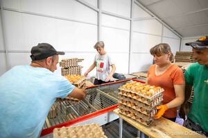Соколівське відділення ТзОВ «Західагроенергоінвест»