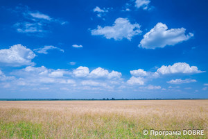 Маловисківська громада. Жнива ТОВ «Карат»