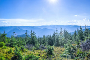 Thumb  group 6   sod4275  sod4287 13 images