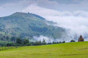 Thumb  group 15   sod5362  sod5375 14 images