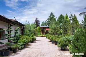 Садово-парковий центр Сакура, Нооволександрівська громада
