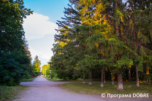 Хвойний парк, село Дослідне, Новоолександрівська громада