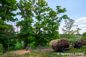 «Сирний рай», село Макариха, Дмитрівська громада