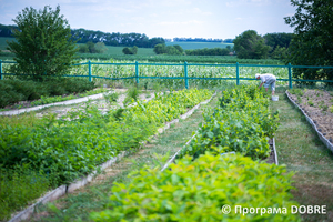 Thumb %d0%94%d0%bc%d0%b8%d1%82%d1%80%d1%96%d0%b2%d1%81%d1%8c%d0%ba%d0%b5 %d0%bb%d1%96%d1%81%d0%bd%d0%b8%d1%86%d1%82%d0%b2%d0%be  %d1%81%d0%b5%d0%bb%d0%be %d0%9f%d0%bb%d0%be%d1%81%d1%8c%d0%ba%d0%b5  %d0%94%d0%bc%d0%b8%d1%82%d1%80%d1%96%d0%b2%d1%81%d1%8c%d0%ba%d0%b0 %d0%b3%d1%80%d0%be%d0%bc%d0%b0%d0%b4%d0%b0  44 