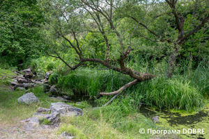 Thumb %d0%97%d0%b0%d0%bf%d0%be%d0%b2%d1%96%d0%b4%d0%bd%d0%b0 %d0%b7%d0%be%d0%bd%d0%b0 %d1%83%d1%80%d0%be%d1%87%d0%b8%d1%89%d0%b5  %d0%91%d0%be%d1%87%d0%ba%d0%b8   %d1%81%d0%b5%d0%bb%d0%be %d0%9a%d0%b0%d0%bb%d0%b8%d0%bd%d1%96%d0%b2%d0%ba%d0%b0  %d0%94%d0%bc%d0%b8%d1%82%d1%80%d1%96%d0%b2%d1%81%d1%8c%d0%ba%d0%b0 %d0%b3%d1%80%d0%be%d0%bc%d0%b0%d0%b4%d0%b0  2 