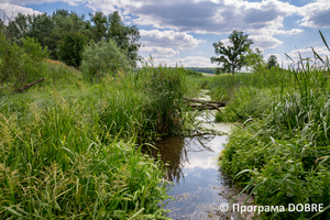 Thumb %d0%97%d0%b0%d0%bf%d0%be%d0%b2%d1%96%d0%b4%d0%bd%d0%b0 %d0%b7%d0%be%d0%bd%d0%b0 %d1%83%d1%80%d0%be%d1%87%d0%b8%d1%89%d0%b5  %d0%91%d0%be%d1%87%d0%ba%d0%b8   %d1%81%d0%b5%d0%bb%d0%be %d0%9a%d0%b0%d0%bb%d0%b8%d0%bd%d1%96%d0%b2%d0%ba%d0%b0  %d0%94%d0%bc%d0%b8%d1%82%d1%80%d1%96%d0%b2%d1%81%d1%8c%d0%ba%d0%b0 %d0%b3%d1%80%d0%be%d0%bc%d0%b0%d0%b4%d0%b0  8 